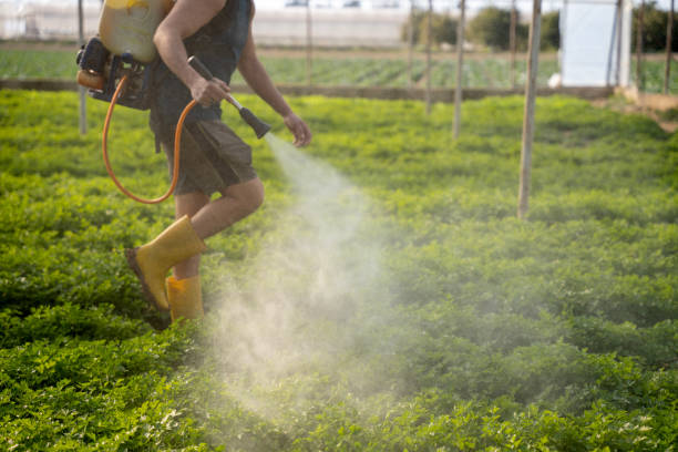 Best Residential Pest Control  in Sands Point, NY