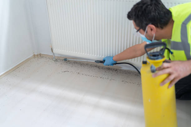 Best Termite Control Services  in Sands Point, NY